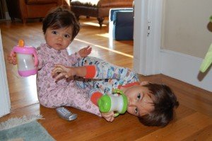 dsc_1814 dsc_1814