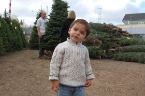 Evan loved picking out the Christmas tree this year.