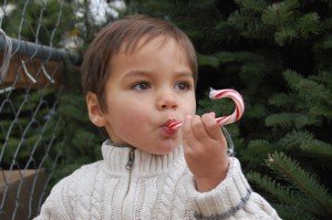 Evan gets his first taste of a candy cane - they remained his favorite food through Christmas day. (Despite the fact he only had 2. 1 on this day and 1 on Christmas day)