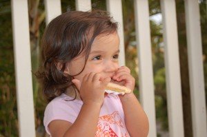 Sophie enjoying a valentines cookie from Nana and Papi