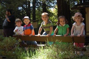 Evan, Sophie and friends watch the train at Tilden Park