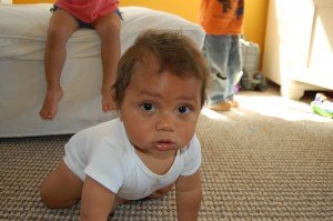 Max pauses his crawling to get a picture taken